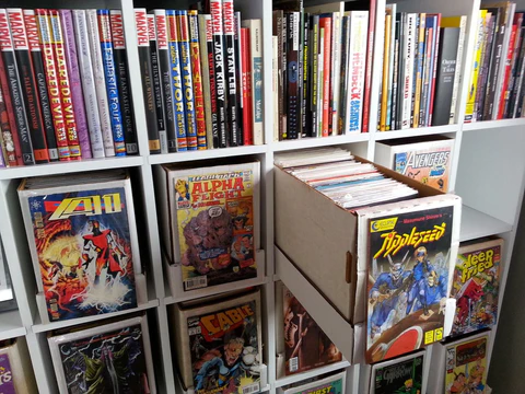 A Guide To Storing Your Comic Books: Preparing Your Comics for Storage,  Where and How to Store Them - RentCafe rental blog